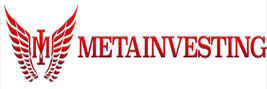 metainvesting